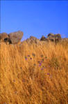 Spiritual Photos